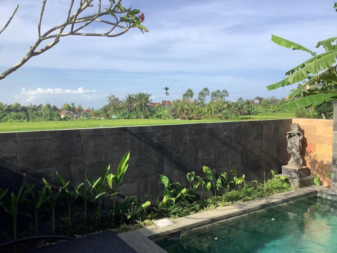 Uma Padi Villa Убуд Екстериор снимка