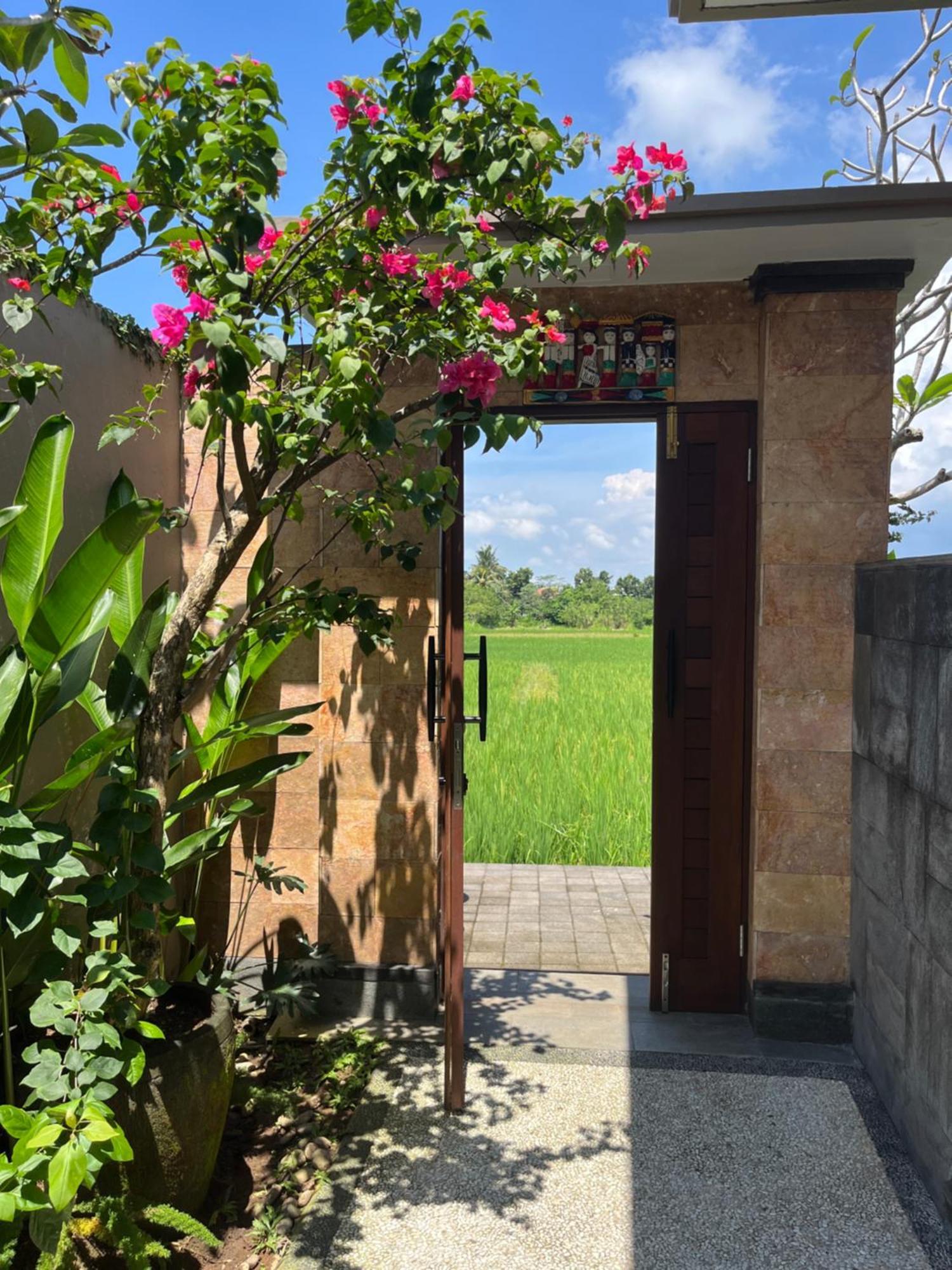 Uma Padi Villa Убуд Екстериор снимка